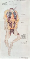 A disembowelled body from the dissection of a torture victim of 1796, from a makimono of a Midori doctor, 1842