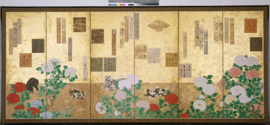 Animals and Flowering Plants