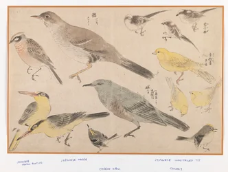 Birds in Okyo Style