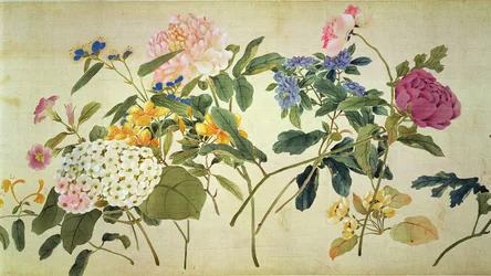 Botanical Study of Flowers