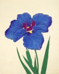 Gosetsu-no-Mai, no.9, 1898