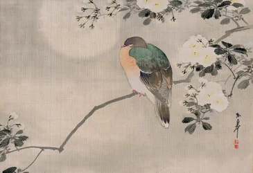 Japanese Silk Painting of a Wood Pigeon