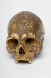 Okimono from the Meiji period (1868-1912)