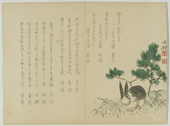Rabbit beneath New Year