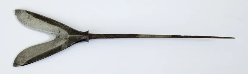 Yanone (Arrowhead) of Forked 