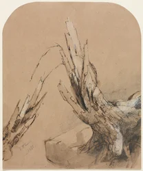 A Blasted Tree (recto), Floorplan (verso)
