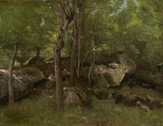 Rocks in the Forest of Fontainebleau
