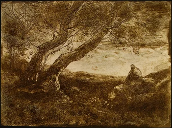 The Dreamer
