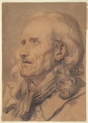 Head of an Old Man, Study for “A Marriage Contract”