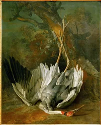 The Dead Crane
