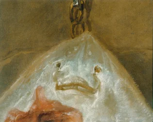 The Skate