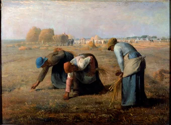 The Gleaners