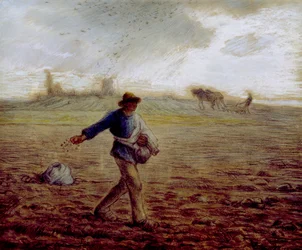 The Sower