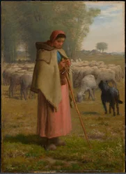 Young Girl Guarding her Sheep