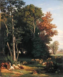 Landscape and Animals