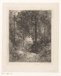 Forest View