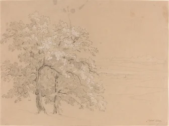 Sunlit Trees Before a Panoramic Landscape