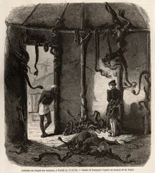 Inside the temple of fetish snakes, in Wydah, in Dahomey (present-day Benin), drawing by Jean Antoine Foulquier (1822-1896), to illustrate Dr. Repin