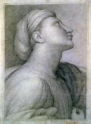 Face Profile