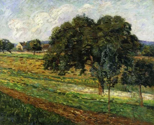 Trees and Flowers, Damiette Countryside