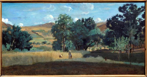 A Wheat Field in the Morvan