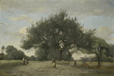 Apple Trees in a Field