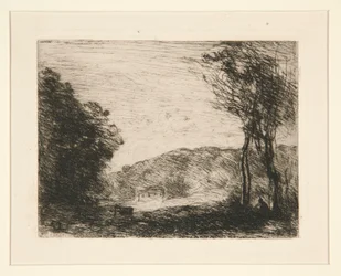 Wooded Countryside