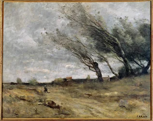Gale