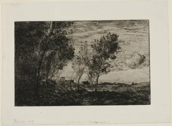 In the Dunes: Souvenir of the Woods of the Hague