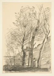 Reading Beneath the Trees