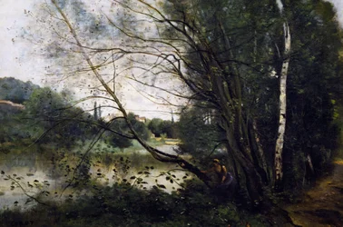 Lake with the leaning tree trunk