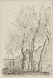 Reading Beneath the Trees