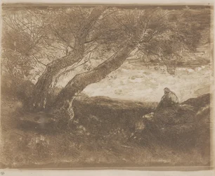 The Dreamer