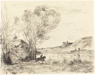 The Rider in the Reeds