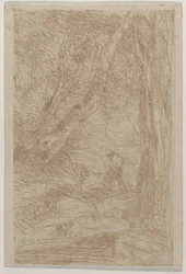 The Woodcutter of Rembrandt