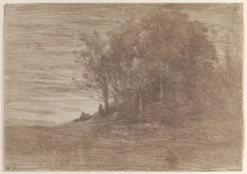 The Woods of the Hermit