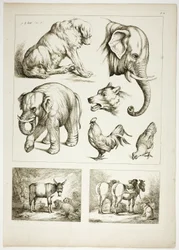 Plate 32 of 38 from Oeuvres de J. B. Huet