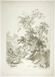 Plate Six of 38 from Oeuvres de J. B. Huet