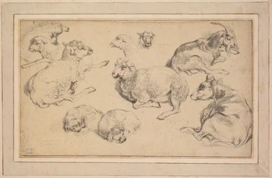 Sheet of Studies with Sheep, Goats, and Dogs, c. 1780