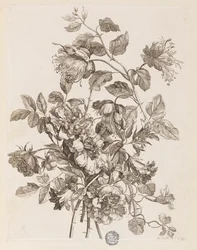 Plate from 