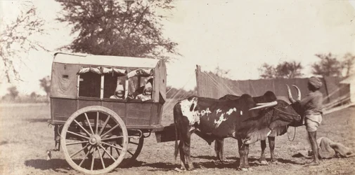 Campbell Twins in a Shigram, Governor General