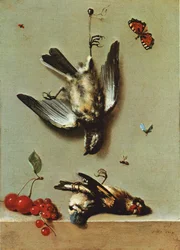 Still Life with Three Dead Birds, Currants, Cherries, and Insects