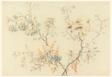 Flowering Branches, 1775–1800