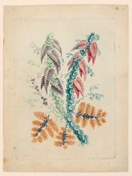 Fantastic Flower Motif from "Nouvelle Suitte de Cahiers de fleurs idéales"