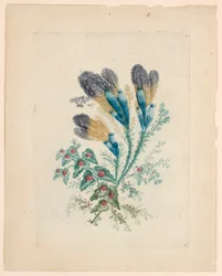 Fantastic Flower Motif from "Nouvelle Suitte de Cahiers de fleurs idéales"
