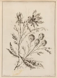 Flower Bough