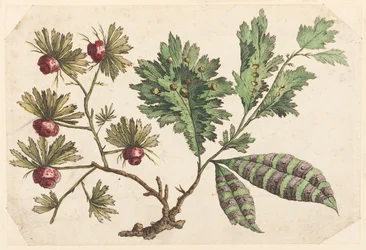 Flower Bough, from 
