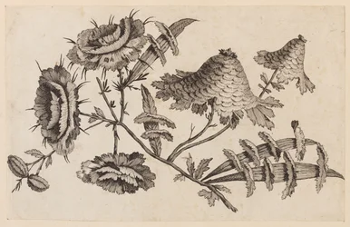 Flower Bough, from "Recueil de Fleurs Chinois"