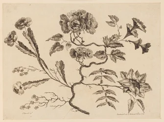 Flower Boughs, from 