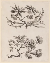 Flower Boughs from, "Recueil de Fleurs Chinois"